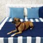 Copertina per Cani Misto Cotone Blu 95 x 135 IDH Panama